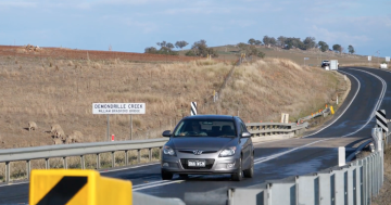 Cootamundra MP calls for action on Riverina's much-maligned bridge after another crash